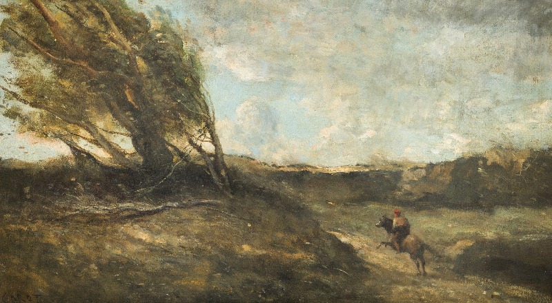 Vai alla pagina Highlights